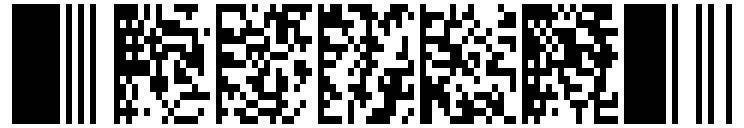 pdf417-a1b4b784-347a-402d-9eea-85e6462686d1